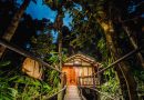 Australia – Experience the oldest living rainforest in a lodge